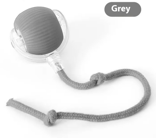 Motion-Activated Rolling Ball for Cats
