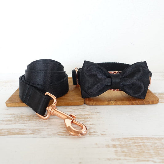Metal-Buckle Collar — Neck 23–62 cm