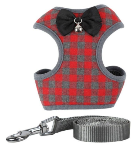Checkered Harness and Lead — Sized by Weight — additional view
