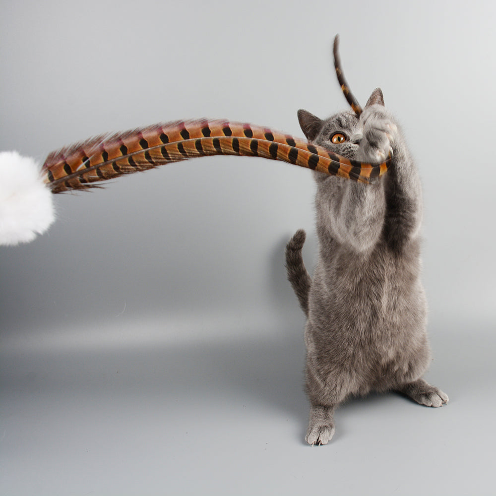 Feather Teaser Wand — 60 cm — additional view