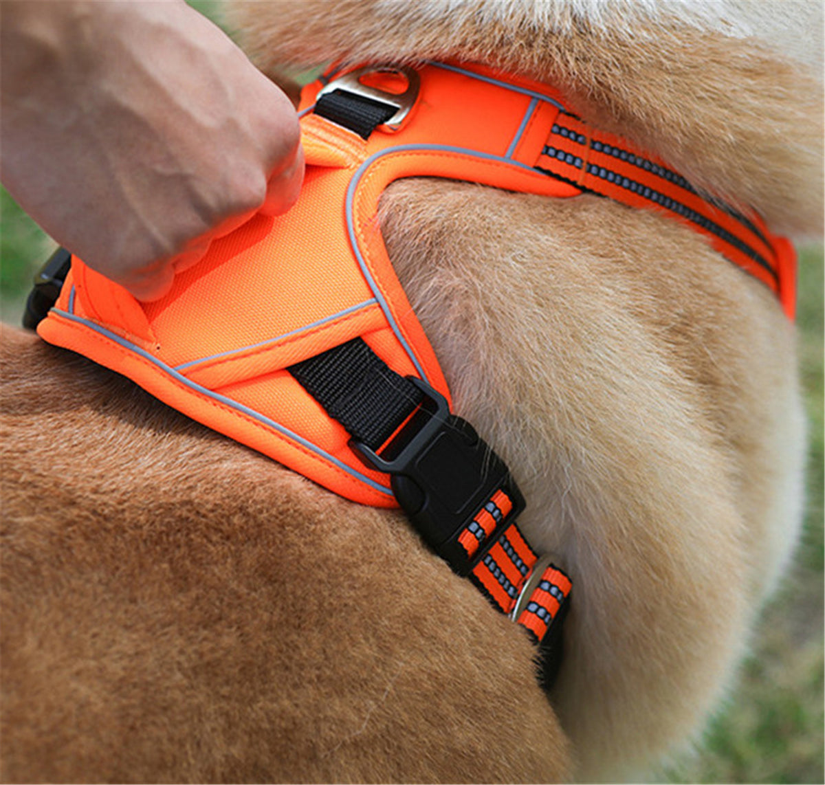 Waterproof Harness with Lifting Handle — additional view