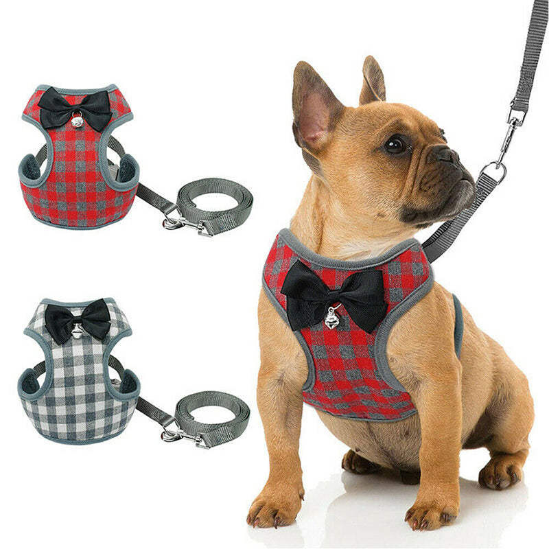 Checkered Harness and Lead — Sized by Weight — additional view