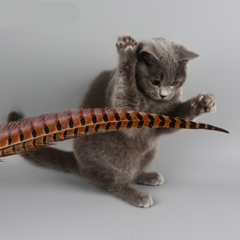 Feather Teaser Wand — 60 cm — additional view
