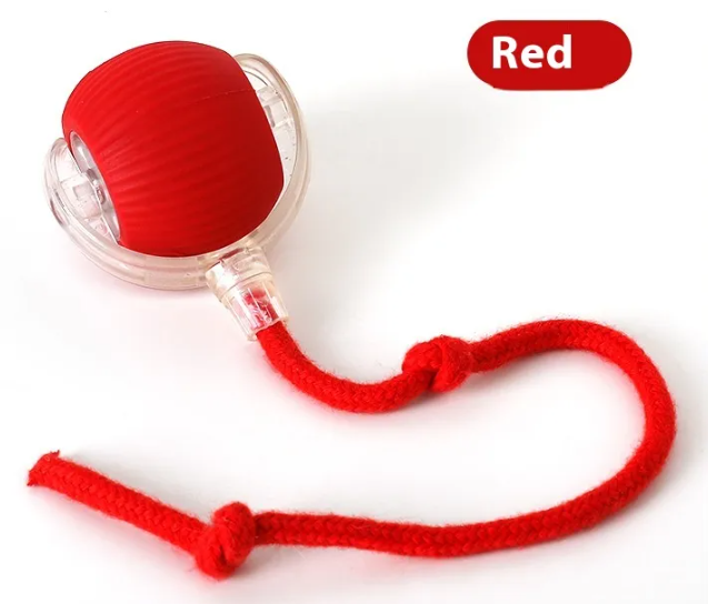 Motion-Activated Rolling Ball for Cats — additional view