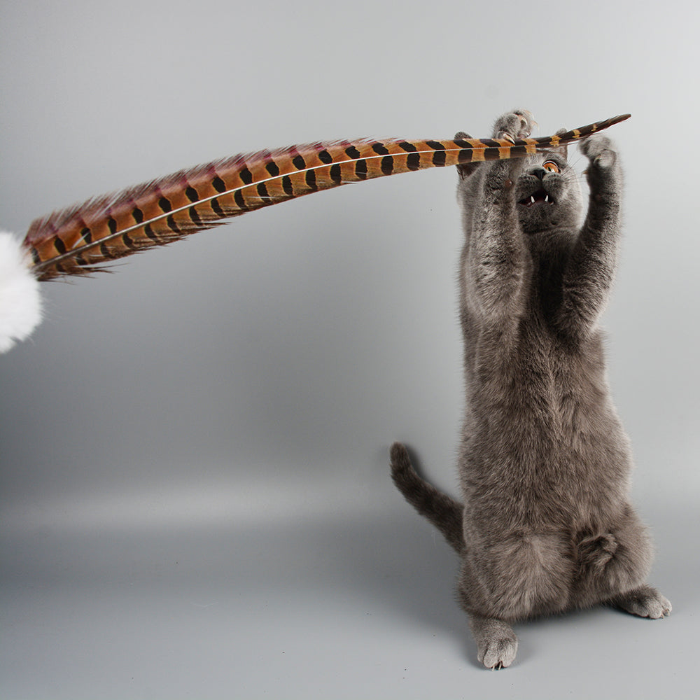 Feather Teaser Wand — 60 cm