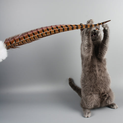 Feather Teaser Wand — 60 cm